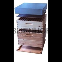Hives single walled dadant 12